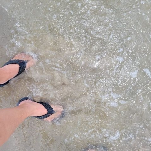 Meet your Posher, Caylene - Picture 1 of 1